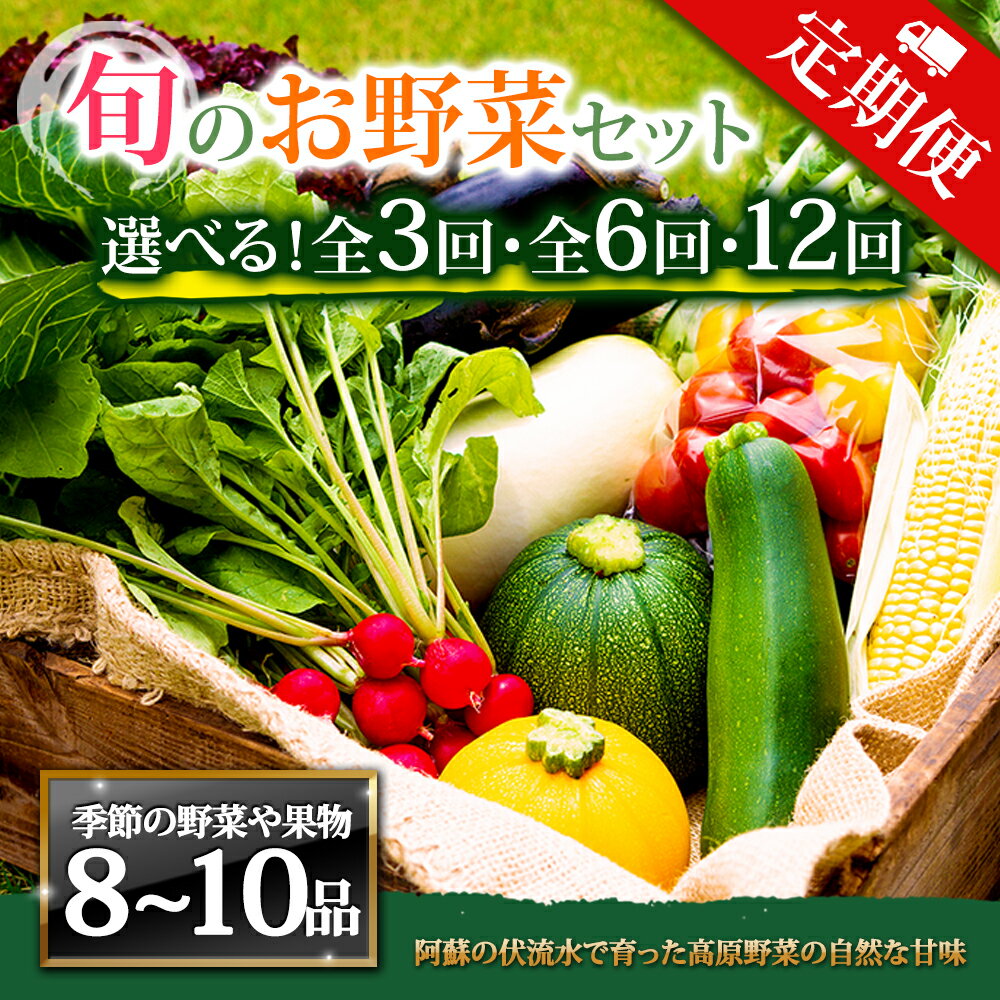 【ふるさと納税】【定期便】畑から直送 季節のお野菜セット Lサイズ 3回 6回 12回 定期便 野菜 8〜10品 定期便 ふるさと納税 全6回 全12回 詰め合わせ セット 新鮮 減農薬 高原 旬 産地直送 野菜 果物 フルーツ 採れたて 甘い 美味しい 人気 安心 安全 熊本県 阿蘇市