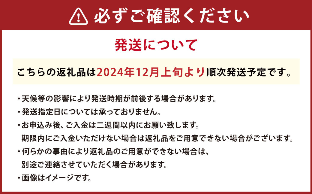 大好評!アールスメロン（1玉）化粧箱入