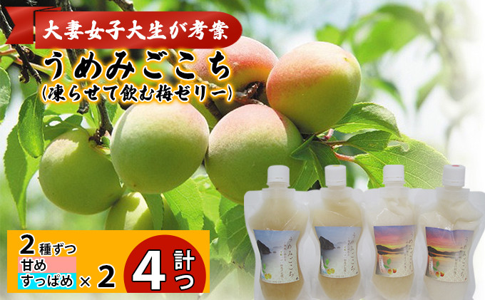 
うめみごこち（凍らせて飲む梅ゼリー）2種（甘め、すっぱめ）各2つずつ合計4つ　大妻女子大生が考案 [№5580-0696]
