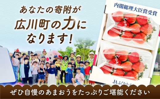 【4月発送】あまおうDX等級 3ケース（約270g×6パック） 広川町 / JAふくおか八女農産物直売所どろや [AFAB114]