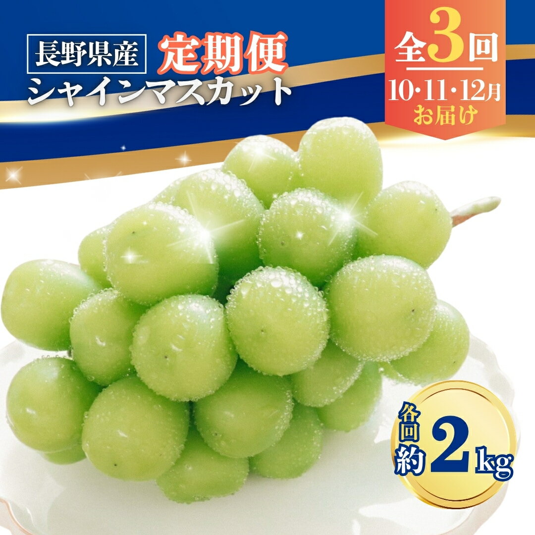 【ふるさと納税】【2025年先行予約】【定期便3回】シャインマスカット 約2kg×3回 (2025年10月/11月/12月発送)|葡萄 グレープ 果物 フルーツ シャインマスカット 2kg 信州ぶどう 信州葡萄 産地直送 種無し 皮ごと食べれる 白ぶどう マスカット 信州 長野 千曲市 送料無料