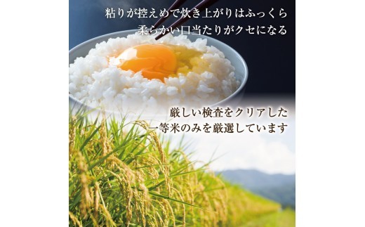 夢つくし ゆめつくし お米 米 精米 白米 10kg (5kg×2袋) 5キロ 10キロ お米