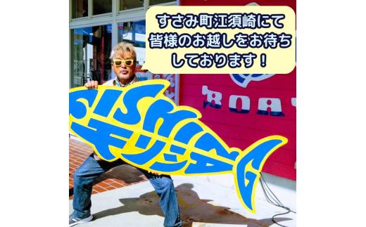 【1名様用】大自然に包まれて…和歌山の海でカセ釣り体験 (経験者向け) / 釣り 紀州 和歌山 南紀 船釣り イカダ釣り 釣り放題 のんびり 貸し切り 体験 【fms001】