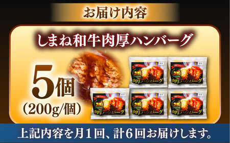 【全6回定期便】しまね和牛ハンバーグ200g×5個 ハンバーグ [AIDZ007]