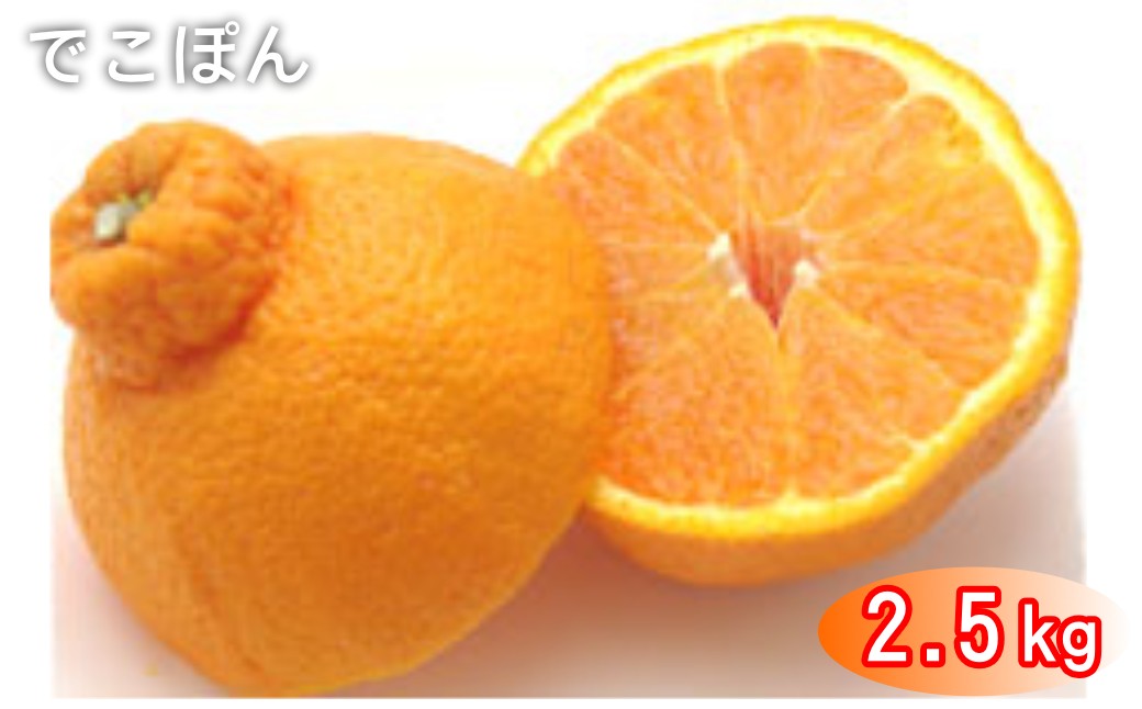 
                  太良町 山本農園の「でこぽん」 2.5kg
                