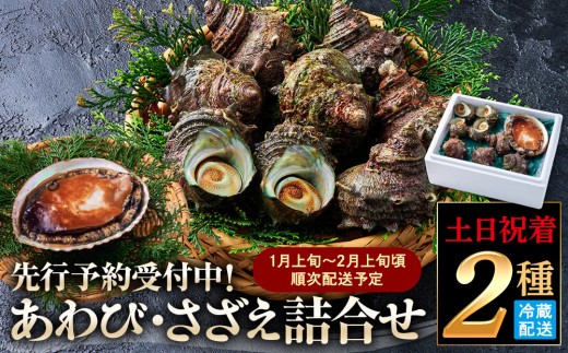 ＜土日祝着＞＜1月上旬～2月上旬頃順次配送＞あわび・さざえ詰合せ(2種) 【鳥取県 境港市】