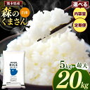 【ふるさと納税】 令和6年産 熊本県産 森のくまさん 白米 5kg 10kg 15kg 20kg 定期便 3回 6回 12回 米