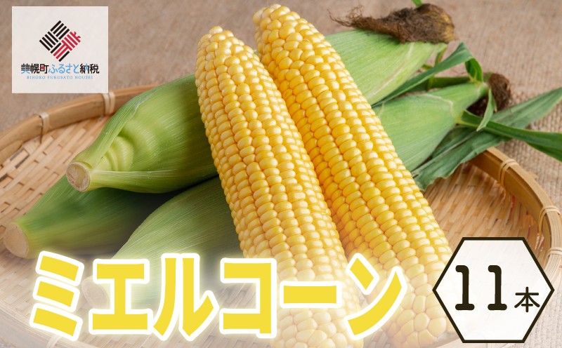 
                  【先行受付】 2026年産 スウィートコーン! はちみつのような甘さのミエルコーン 11本 ふるさと納税 人気 おすすめ ランキング とうもろこし コーン 甘い おいしい スイートコーン スウィートコーン 北海道 美幌町【配送不可地域：離島】
                
