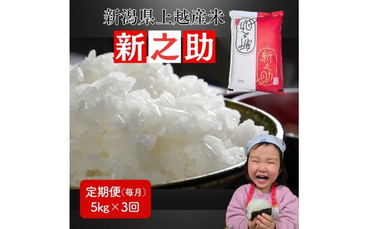 令和8年産 先行予約 新潟県 上越市産米 新之助 定期便 5kg×3回 計15kg 3か月 しんのすけ 新米 精米 米ヴィレッジさんわ 上越市三和区