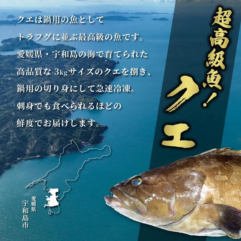 クエ 鍋用 650g ( 切り身 300g アラ350g ) クエ鍋セット 南予ビージョイ D019-150013