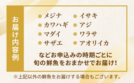 【全4回定期便】旬の地魚セット（エラ・内臓処理済）鮮魚 魚介 刺身 五島市 / 五島FF [PBJ002]