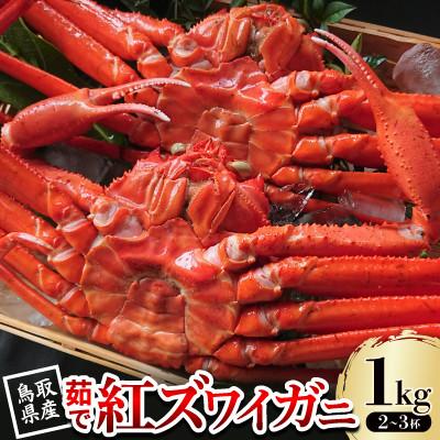 ふるさと納税 智頭町 【先行予約】鳥取県産 茹で紅ズワイガニ 1kg(2〜3杯) 2026年9月〜2027年5月発送
