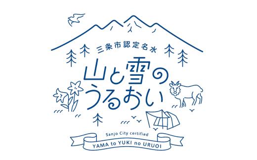 [定期便500ml×24本×6か月]ナチュラルミネラルウォーター 計500ml×144本 6か月連続でお届け 山と雪のうるおい 軟水 みねらるうぉーたー 天然水 湧水 ミネラルウォーター 防災用品 防災グッズ mineralwater【040S014】