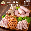 【ふるさと納税】おおいた味力 ソーセージセット 計1.14kg 6種 6パック 詰め合わせ 詰合せ バラエティーセット 地域産品 ソーセージ ウインナー ボローニャ フランクフルト ベーコン 粗挽き 加工品 加工肉 冷凍 九州産 送料無料