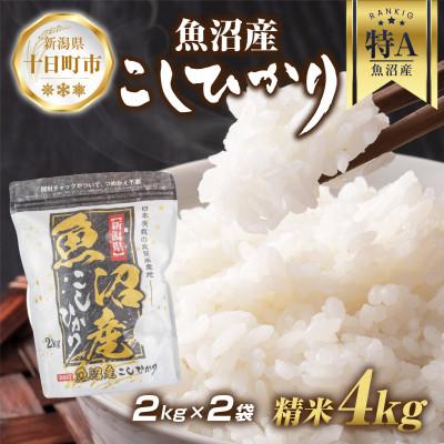 ふるさと納税 十日町市 魚沼産 コシヒカリ 2kg×2袋 計4kg(お米の美味しい炊き方ガイド付き) | 