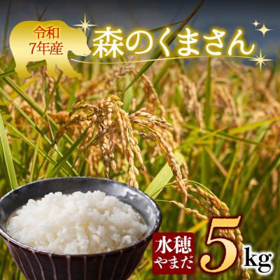 ふるさと納税 阿蘇市 令和7年産　森のくまさん 5kg (白米) 水穂やまだ