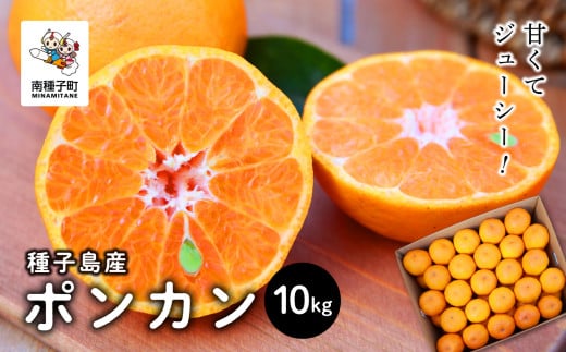 《先行予約》　《2025年12月中旬頃〜1月中旬頃順次発送》種子島産ポンカン10kg（約65玉）