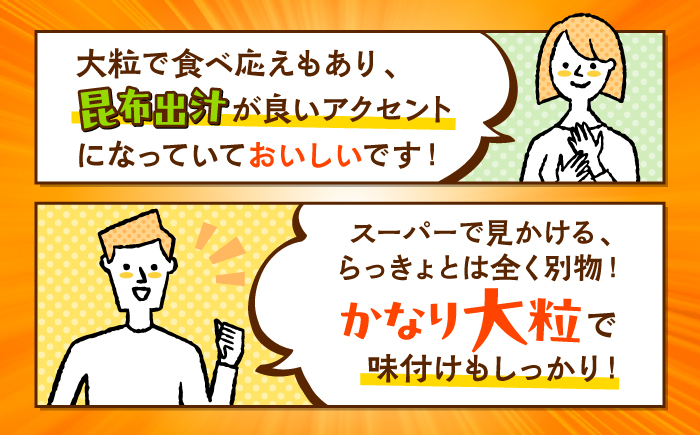 【びっくり大粒】昆布仕込み！さいかいらっきょ艶づけ（甘酢漬け）1.8kg（600g×3P）＜道の駅さいかい みかんドーム＞ [CAI020]