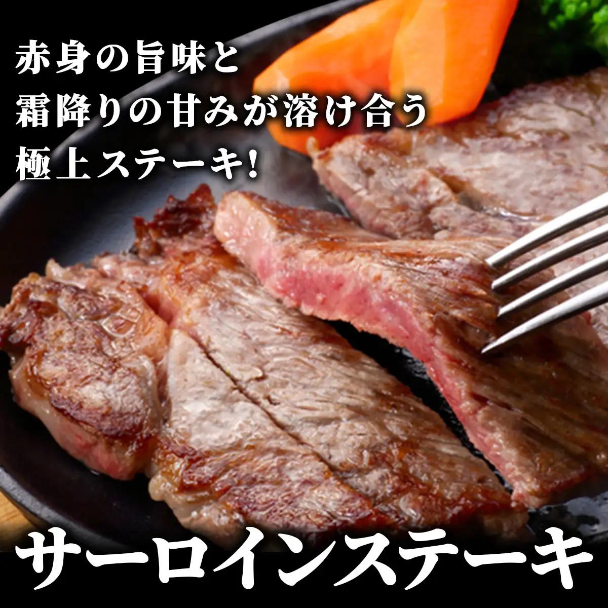 ＜2回定期便＞【博多和牛】サーロイン ステーキ 200g×5枚【HD031】