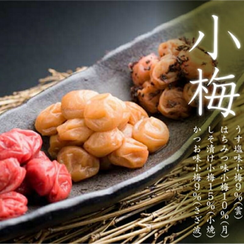 【ふるさと納税】しそ漬け小梅塩分15% 500g / 和歌山 和歌山県産 田辺市 紀州南高梅 南高梅 梅干し 梅干 小梅 小粒梅 梅 しそ梅 お弁当 ご飯のお供