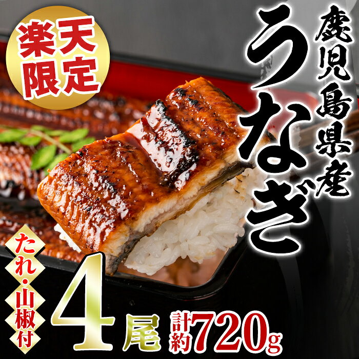 【ふるさと納税】【楽天限定寄附額】＼高評価★4.66獲得！／東串良町のうなぎ蒲焼(無頭)(4尾・計約720g・タレ、山椒付) うなぎ 蒲焼長焼 ウナギ 鰻 蒲焼き 国産うなぎ 国産 九州産 鹿児島 鹿児島県産 人気 ランキング 高級【アクアおおすみ】【0254352a-fly】