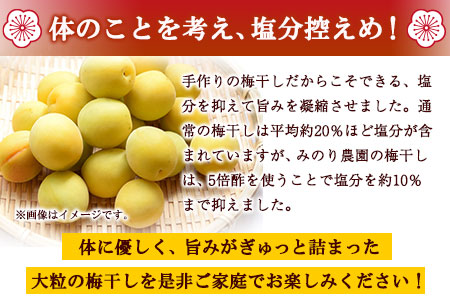 うめぼし 800g (しそ漬け)《30日以内に順次出荷(土日祝除く)》熊本県 葦北郡 津奈木町 梅 梅干し 天日干し みのり農園