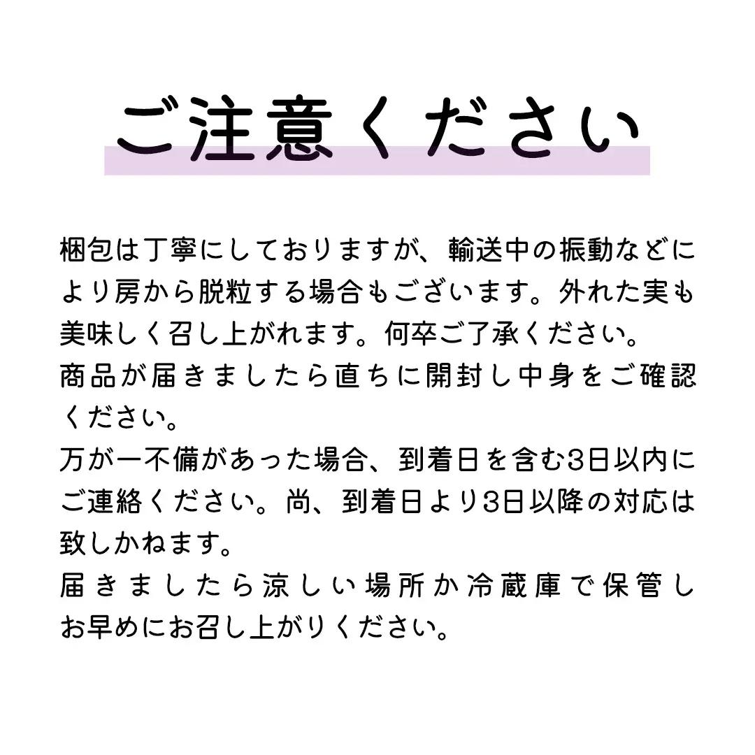 《 2026年 収穫分 》 種あり 巨峰 2kg 5～9房 (桜川市・石岡市共通返礼品) 先行予約 石田ぶどう園 国産 茨城県 桜川市 ぶどう ブドウ 葡萄 果物 くだもの フルーツ 旬 人気 産直 