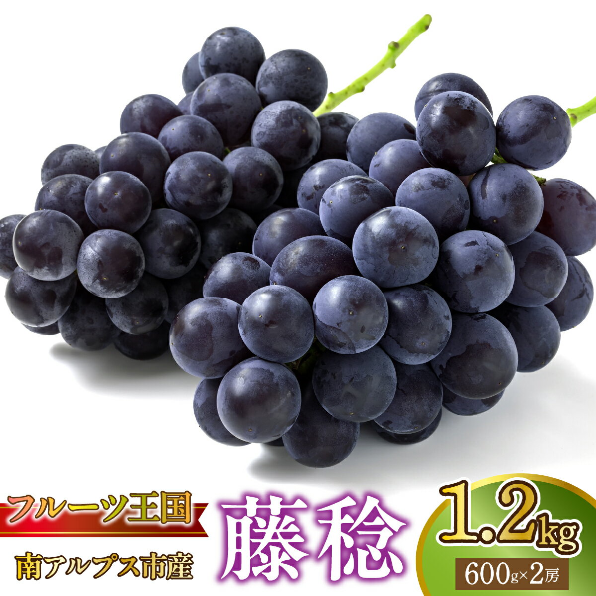 【ふるさと納税】＜2026年発送★先行予約＞【鈴木ぶどう園】山梨県南アルプス市産 藤稔 約1.2kg （600g×2） ALPGF002 ふるさと納税 ぶどう ブドウ 藤稔 ふじみのり おすすめ 山梨県 南アルプス市 送料無料