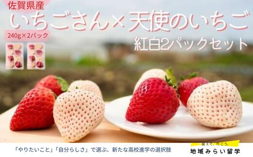 
            【セット】【先行予約｜凛々】紅白セット 計480g(天使のいちご&いちごさん)
          