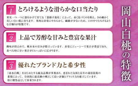 岡山県産 岡山白桃 ロイヤル 3Lサイズ 約300g×2玉・ニューピオーネ 約600g×1房 詰合せ 【2026年7月上旬～8月下旬発送予定】 白桃 桃 もも モモ ピオーネ ぶどう 葡萄 ブドウ セ