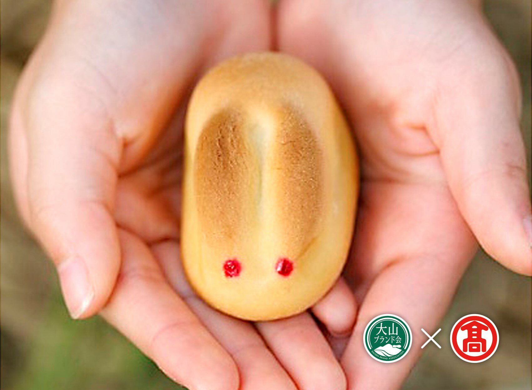 【ふるさと納税】白うさぎの玉手箱【因幡の白うさぎ×9個 因幡の白うさぎ抹茶餡×6個 白ウサギフィナンシェ×6個 白ウサギフィナンシェプレミアムショコラ3個】（大山ブランド会）【24-DD1】寿製菓