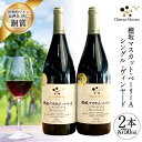 【ふるさと納税】赤ワイン 穂坂マスカット・ベーリーA シングル・ヴィンヤード 2種 750ml×2 酒 ワイン / シャトー・メルシャン 勝沼ワイナリー / 山梨県 韮崎市