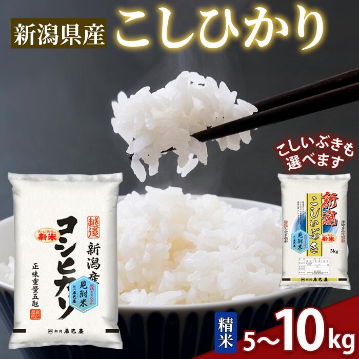 【ふるさと納税】 米 2kg 3kg 5kg 10kg 令和7年産 3か月 定期便 こしひかり こしいぶき 精米 せいまい 米 こめ コメ 新潟県 産 おすすめ オススメ 新潟辰巳屋