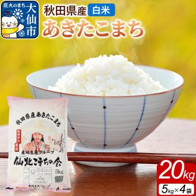 ふるさと納税 大仙市 米 あきたこまち 令和7年産【白米】20kg(5kg×4袋)秋田県産|22_skk-012001