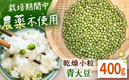 乾燥小粒青大豆（品種：黒神）400g【ekam】 大豆 [AXBV011]