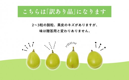 青森フルーツ満喫便　家庭用 りんご＆シャインマスカット 2回定期コース【hi-0999-010】