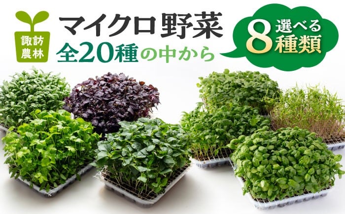 
            マイクロ野菜 品種が選べる 8点セット 多治見市 / 諏訪農林 [TDO006]
          