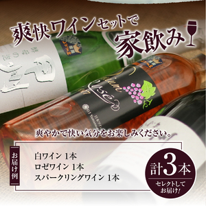 爽快ワイン3種セット C-662