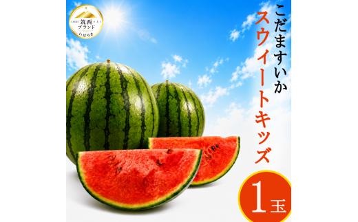 【2027年発送】 スイカ 小玉スイカ 1玉 小玉 こだま すいか スイカ 西瓜 スウィートキッズ  果物 人気 おすすめ 旬 夏 シャリ さっぱり 甘い フルーツ くだもの デザート 果汁  新鮮 フレッシュ 産地直送 季節限定 夏季限定 期間限定 お取り寄せ 家庭用 茨城 筑西 jat071