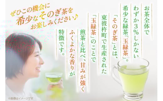 茶 お茶 緑茶 長崎 そのぎ茶 定期便 隔月 彼杵茶 玉緑茶 アルミボトル 290ml 24本 総計144本 6回 [彼杵の荘 長崎県 東彼杵町 hs42bag270018] 2か月に1回 ペットボト