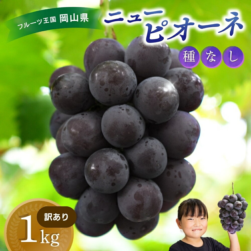 【ふるさと納税】 岡山　花笑み農園の 『訳ありニューピオーネ』1kg WP-1 hana33 【2025年9月上旬〜順次発送予定】【配送不可地域：離島】 ぶどう 葡萄 ブドウ フルーツ 果物 くだもの ピオーネ ニューピオーネ 人気 おすすめ 国産 産地直送 訳あり 不揃い 岡山 【1393438】