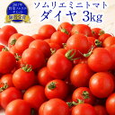 【ふるさと納税】熊本県 ソムリエミニトマト ダイヤ 3kg ソムリエ トマト とまと ミニトマト 野菜 旬 新鮮 塩 塩トマト 熊本県 冷蔵 送料無料 【2024年12月上旬発送開始】