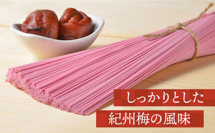 手延べ梅そうめんセット あごだしスープ付き 1.1kg / そうめん 素麺 麺 乾麺 梅 うめ ウメ / 南島原市 / のうち製麺 [SAF043]