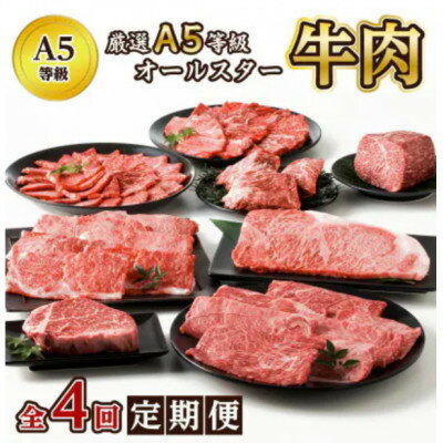 【ふるさと納税】【発送月固定定期便】厳選A5等級オールスター牛肉定期便(南九州市)全4回【配送不可地域：離島】【4081818】