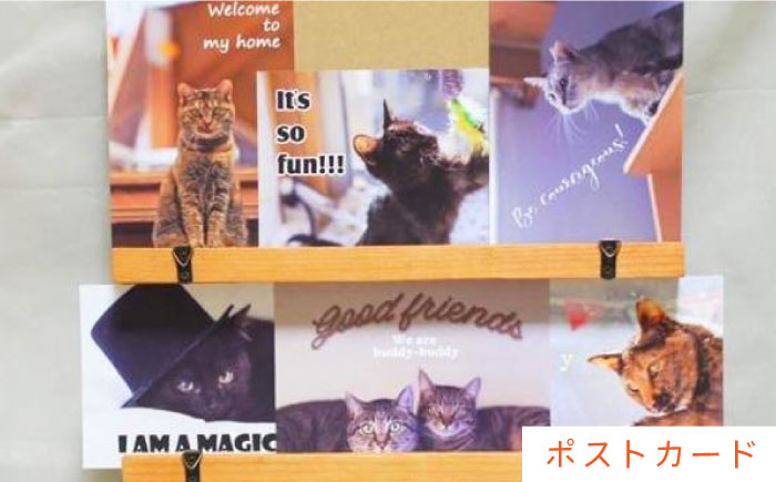 かわいい 猫 ねこ ネコ グッズ 保護猫 