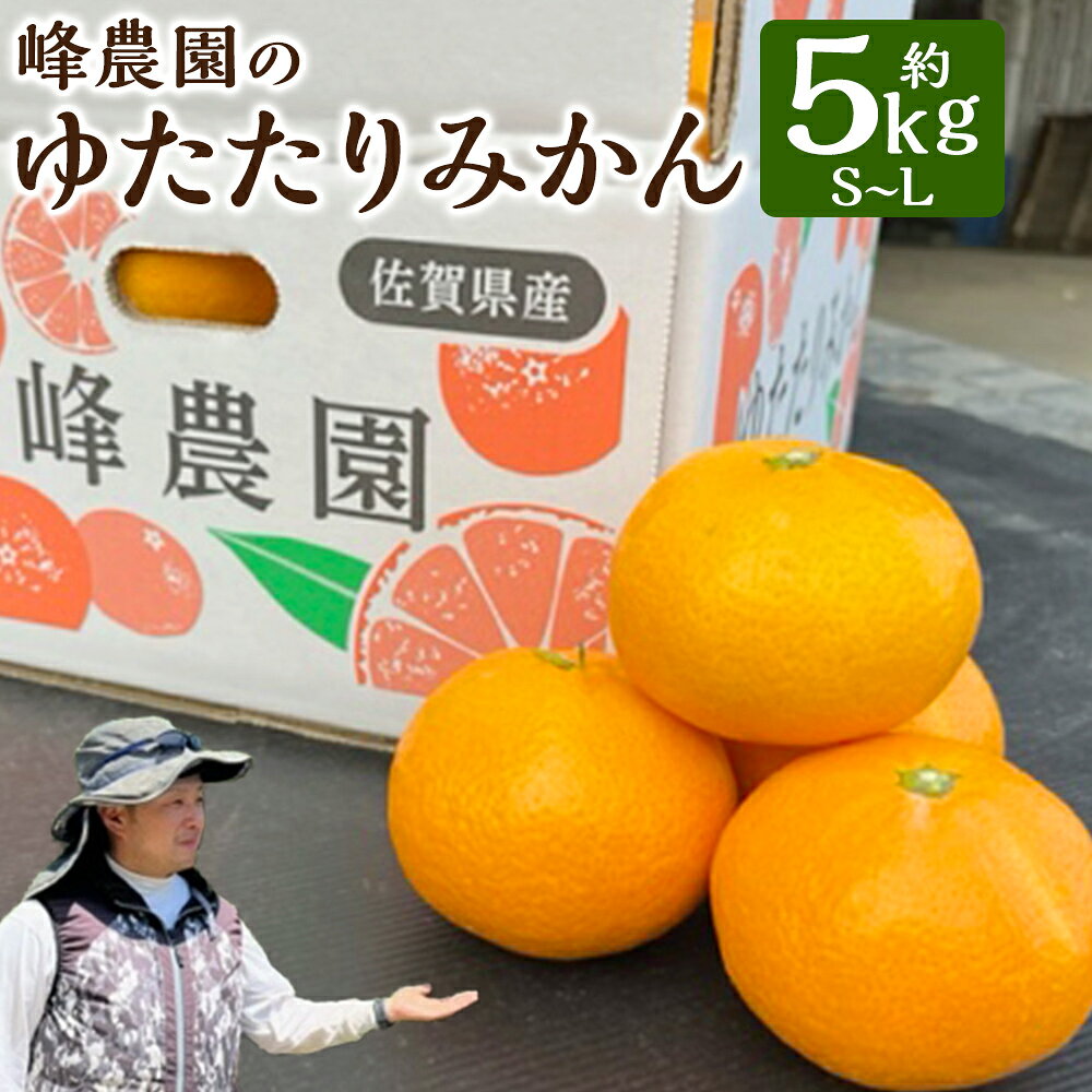 【ふるさと納税】峰農園のゆたたりみかん 5kg 温州 みかん ミカン 蜜柑 温州蜜柑 温州ミカン フルーツ くだもの 果物 佐賀県 太良町 N253x1 【2026年11月上旬-2027年1月下旬発送予定】
