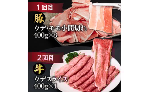 MCT6UB-69 【定期便・全6回】宮崎牛・宮崎県産豚肉 6ヶ月定期便！6.9kg