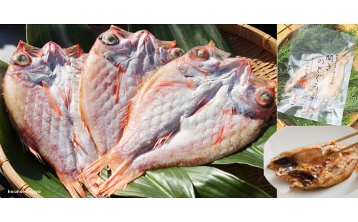 【先行予約】のどぐろ干物１９０g・２４ｃｍ前後４枚 ＜９月中旬以降発送＞ 厳選 うす塩味 河野乾魚店 魚介類 魚貝類 魚 のどぐろ アカムツ 干物【019_1337】