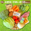 【ふるさと納税】 季節のお野菜 8〜10品 平飼い卵 6個 詰め合わせ セット 野菜 減農薬 減化学肥料 キャベツ 小松菜 高菜 里芋 大根 人参 エリンギ 椎茸 トマト きゅうり ナス たまご 破損保証 2個 特産品 お取り寄せ グルメ