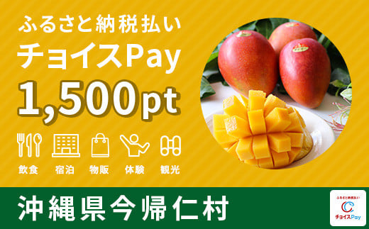 
チョイスPay 1,500pt（1pt＝1円）【会員限定のお礼の品】
